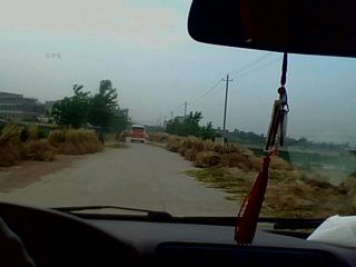 IMG0051A.jpg