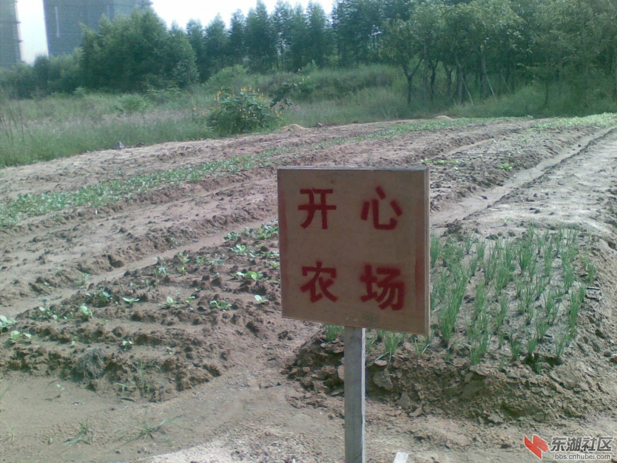 20100926.jpg