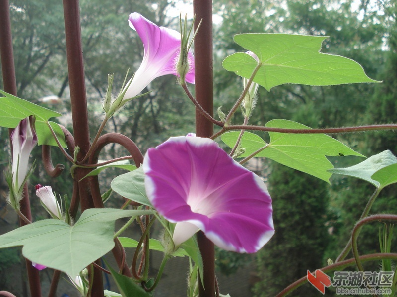 DSC09089.jpg