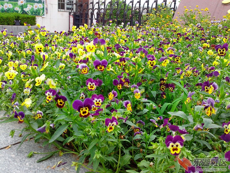 IMG_20120501_160404_副本.jpg