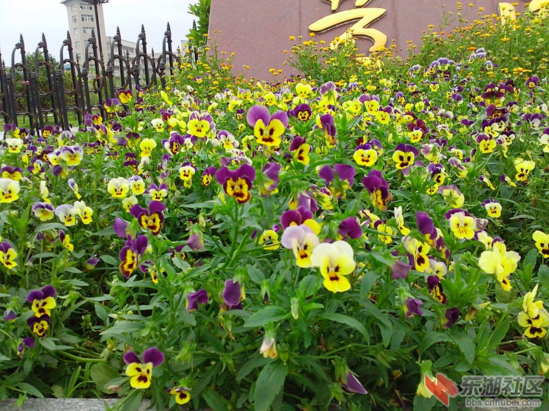 IMG_20120501_160417_副本.jpg