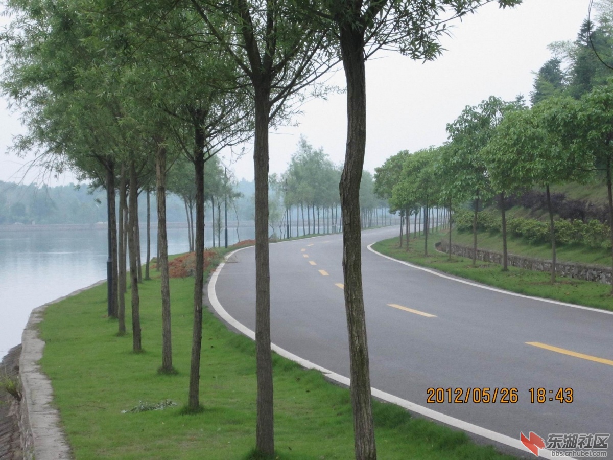 路边小景