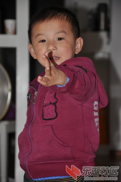DSC_0084.jpg
