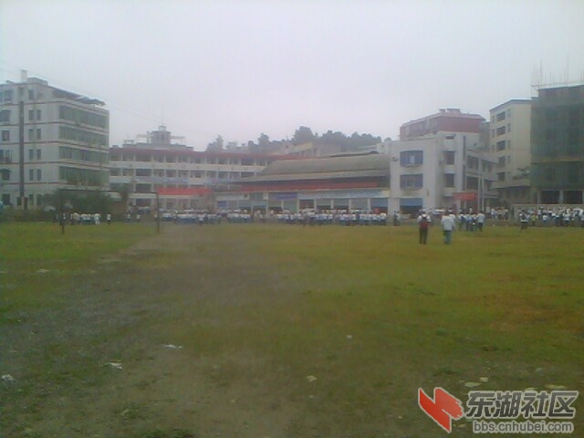 IMG5799A.jpg