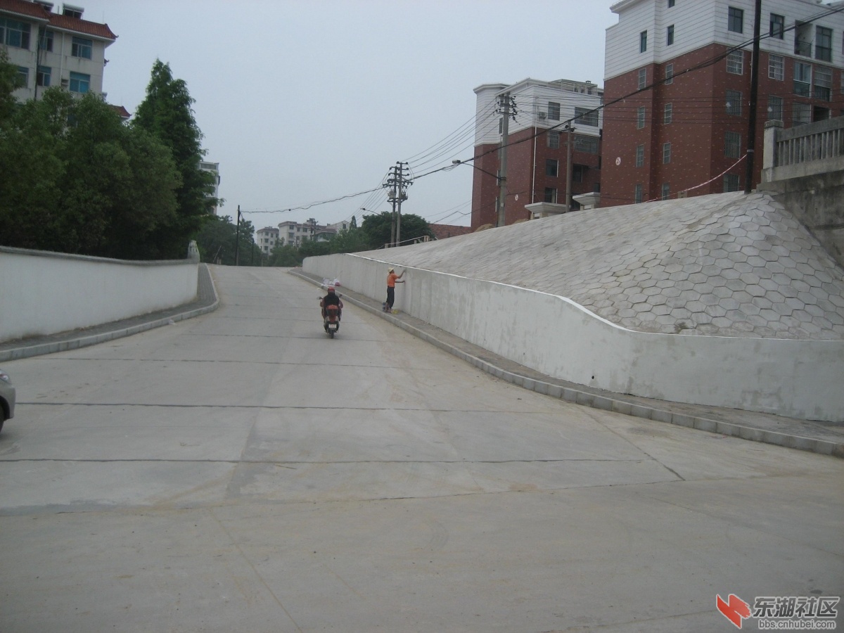 中环路