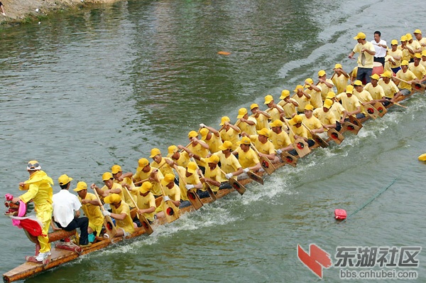 2008620204051736.jpg