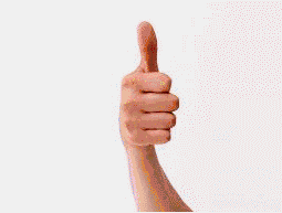 1308585.gif