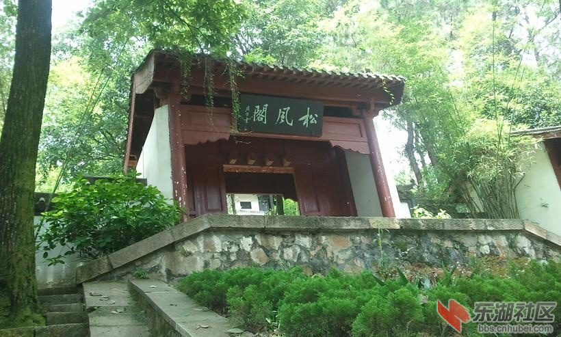 照片0235.1.JPG