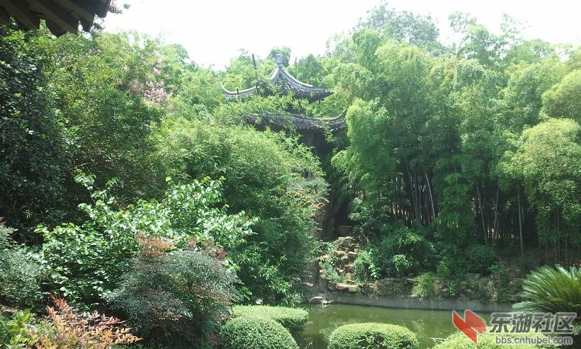 照片0288.1.JPG