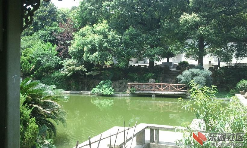 照片0292.1.JPG