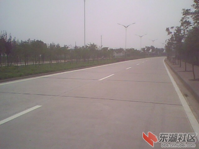 IMG0247A.jpg