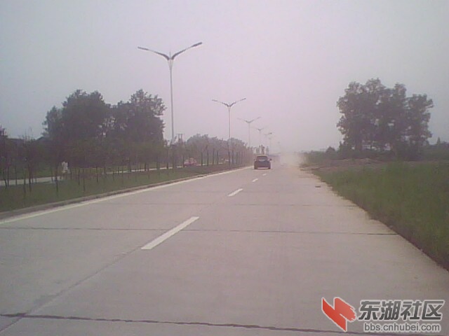 IMG0242A.jpg