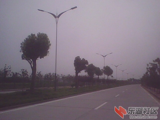IMG0245A.jpg