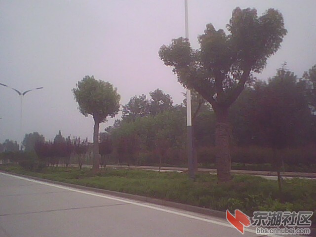 IMG0246A.jpg