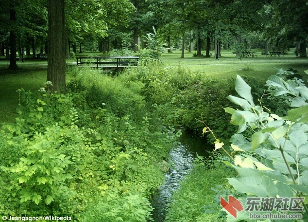 头颅发现地