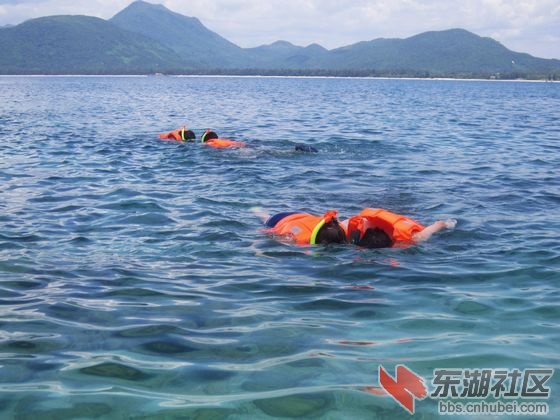 42浮浅.jpg