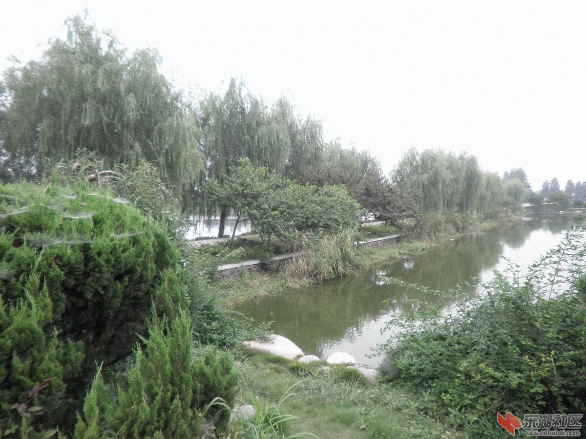 P1010281.JPG