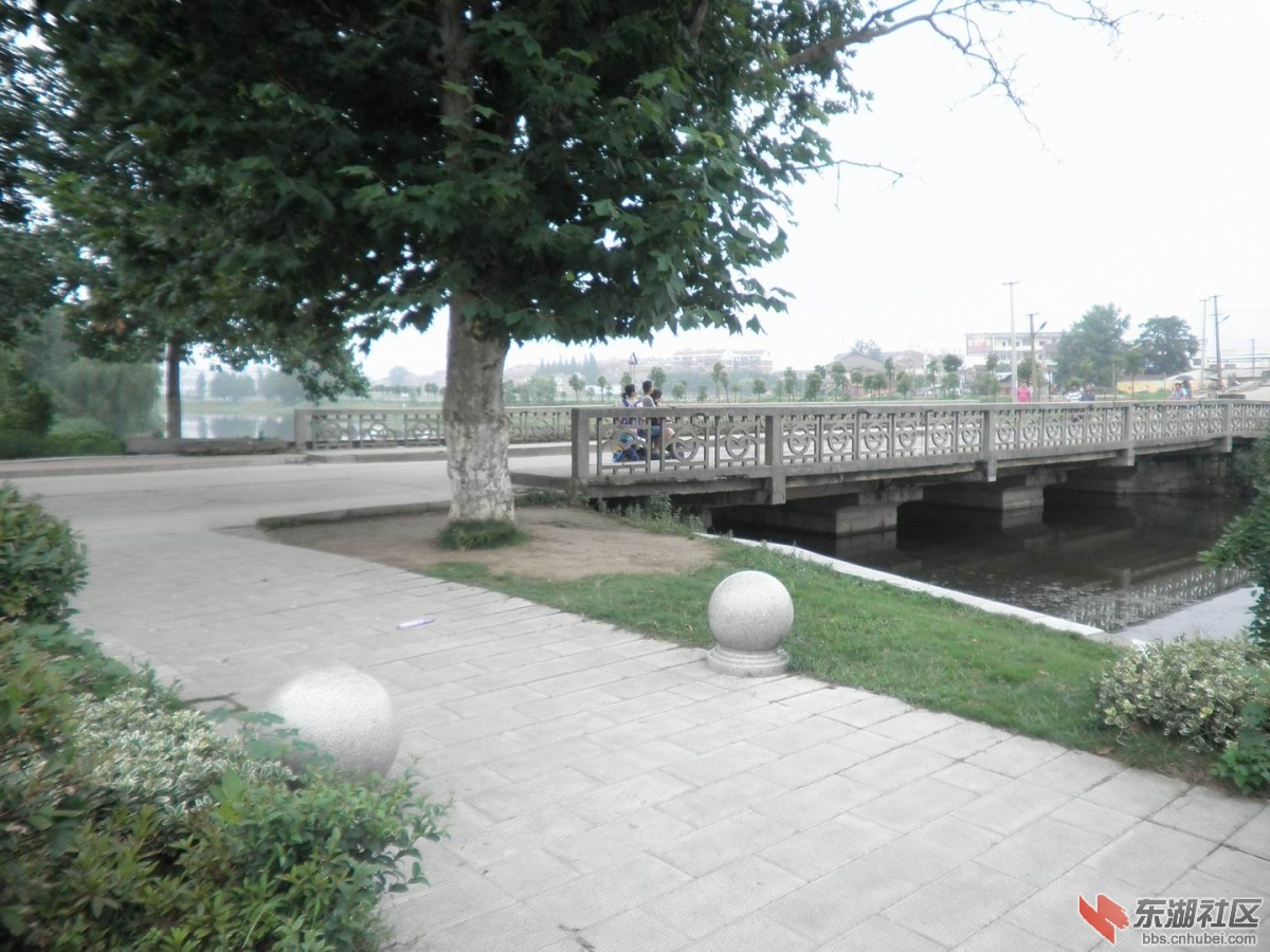 P1010282.JPG