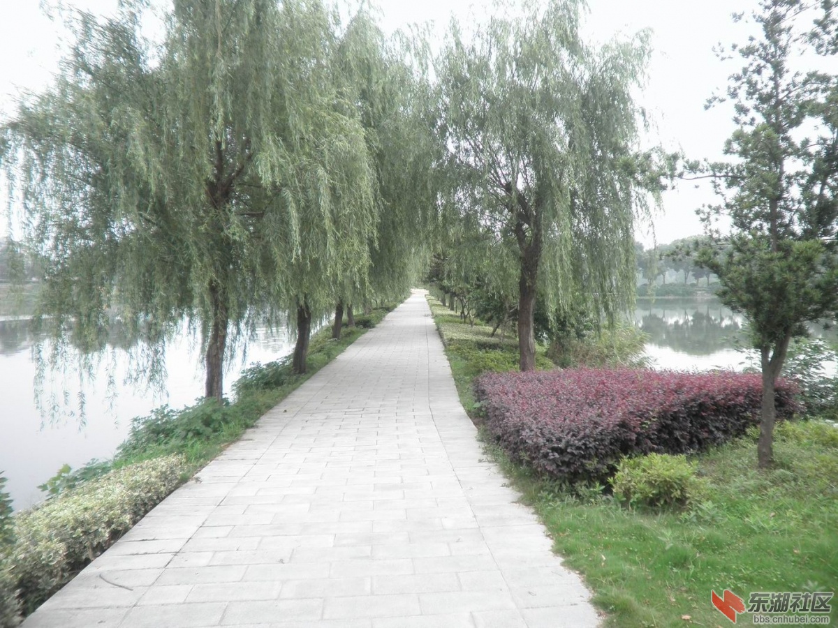 P1010283.JPG