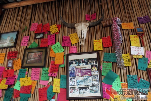 wKgByU_C6CWdvlMdAAPqI1OjKS066.groupinfo.w600.jpg