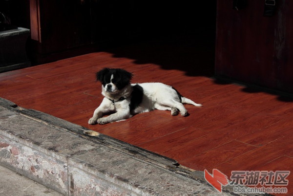 wKgByU_C7nWLUkYPAAI8e_CC6vc56.groupinfo.w600.jpg