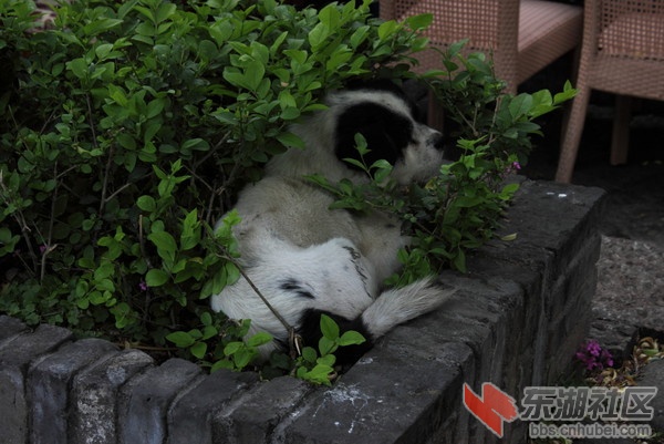 wKgByU_C8CzvvIcJAALCmN_gD6o07.groupinfo.w600.jpg