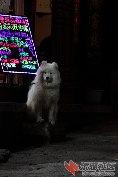 wKgByU_C9rGGwGvMAAOGHVtw6pg94.groupinfo.w600.jpg
