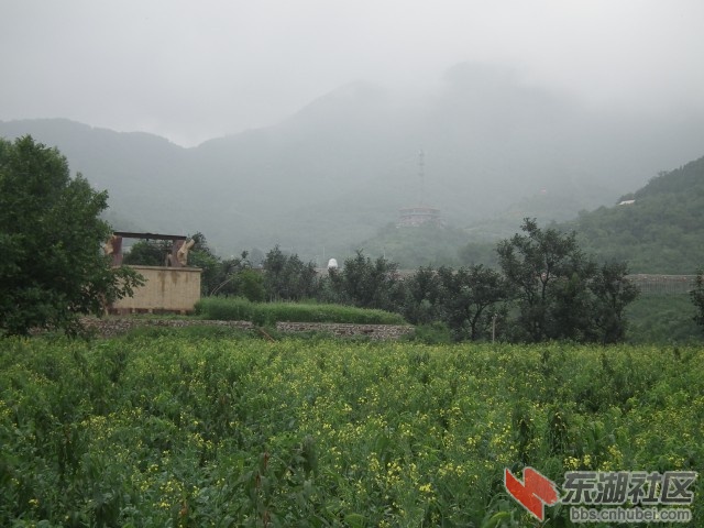 云雾缭绕挂甲峪0010.jpg