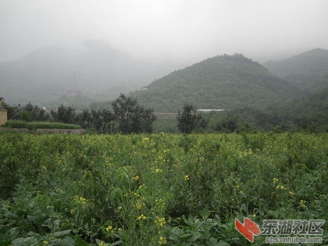 云雾缭绕挂甲峪009.jpg