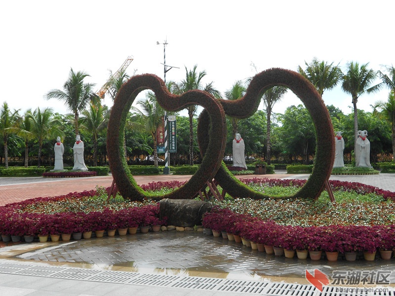102两颗心.jpg