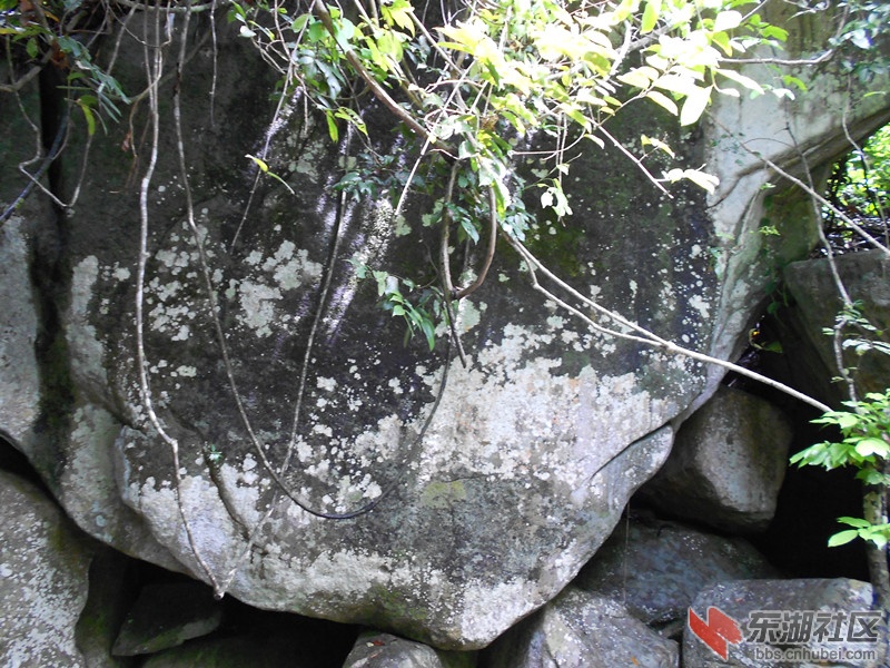 114中国石.jpg