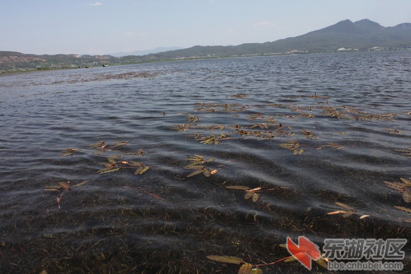 wKgByU_DBAf_fxoZAAK77kZXOks92.groupinfo.w600.jpg