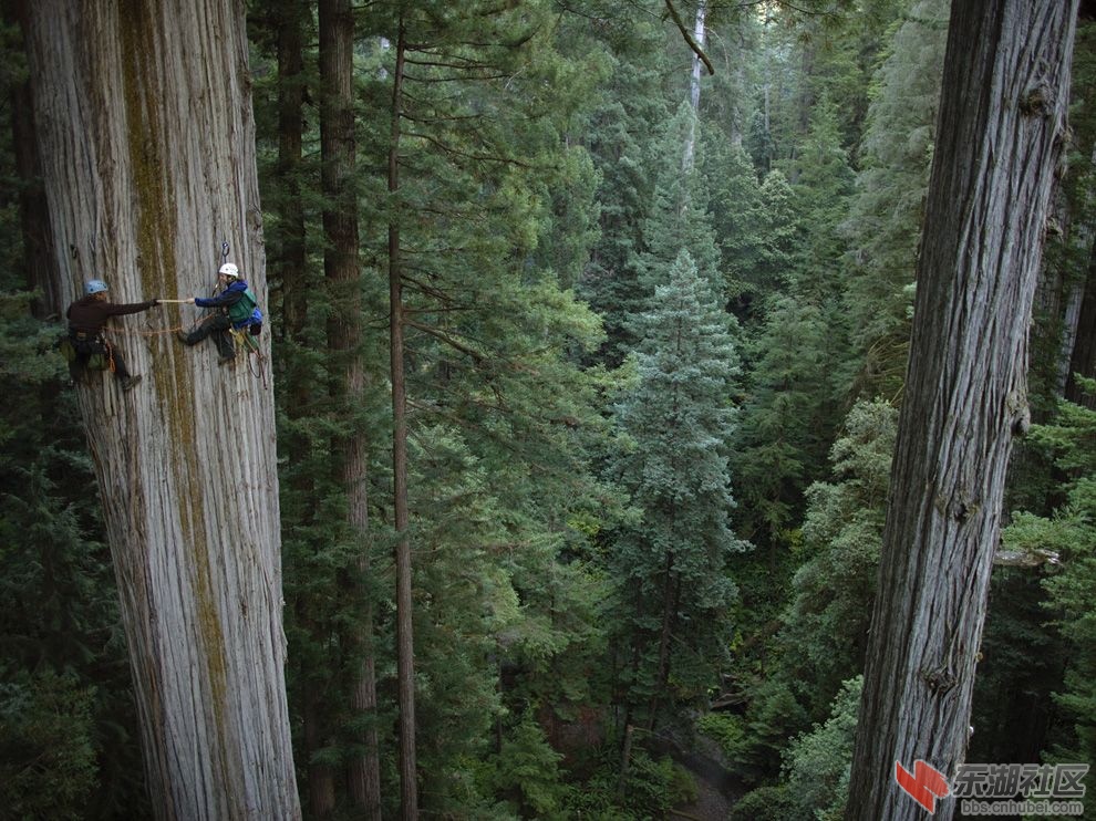 scientists-redwood-nichols_52779_990x742[1].jpg