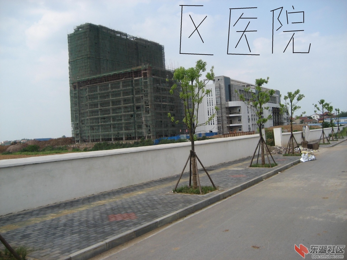 7月中环路