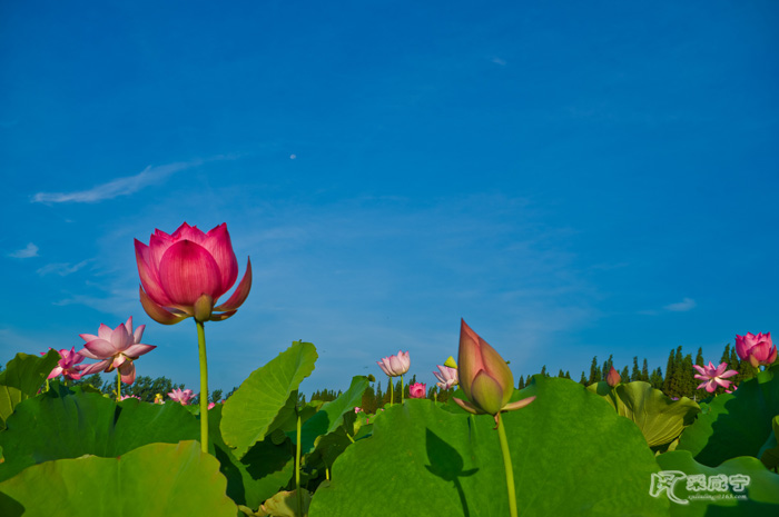 IMGP3158-7.jpg