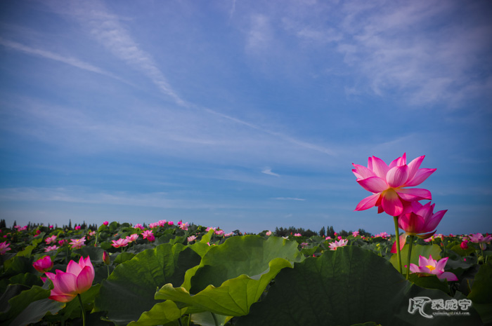 IMGP3239-7.jpg