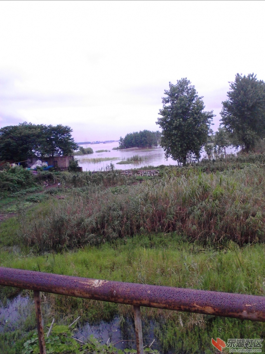 IMG_20120714_124341.jpg