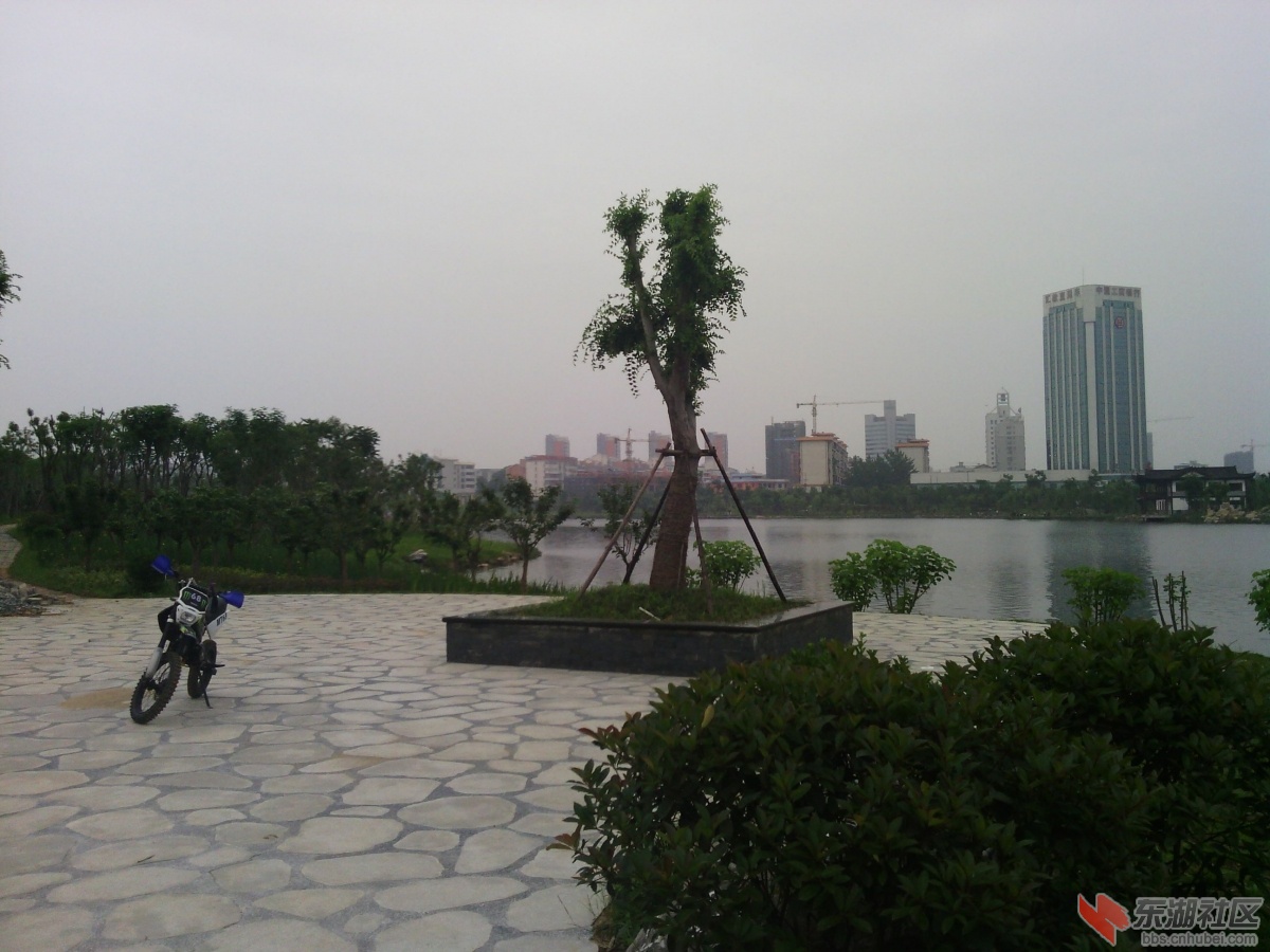 Camera_20120515_152745.jpg