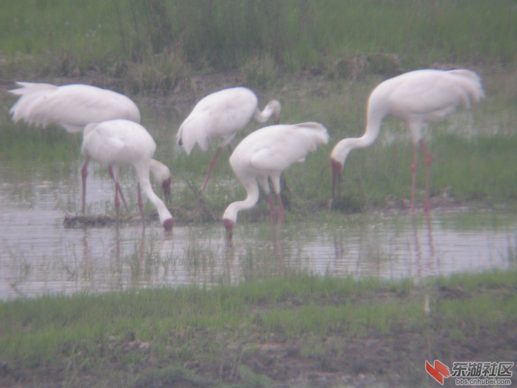 2010072010162878204.jpg