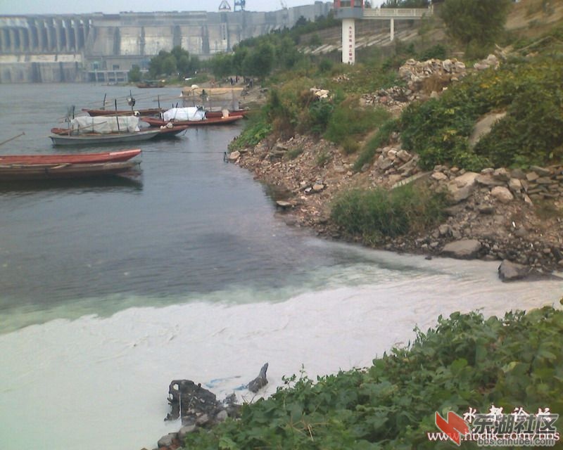 20089172024475053.jpg