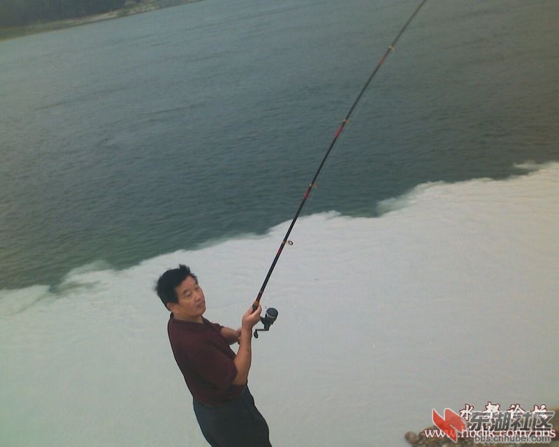 20089172024462817.jpg