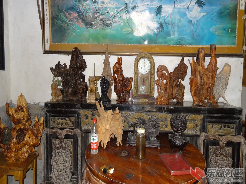 DSC01128(1).jpg