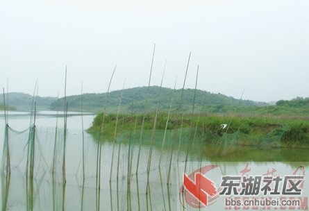 2011714155488071.jpg