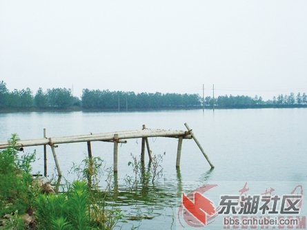 2011715925303051.jpg