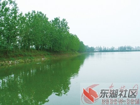 2011715925303054.jpg