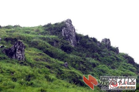 20110919040343696.jpg