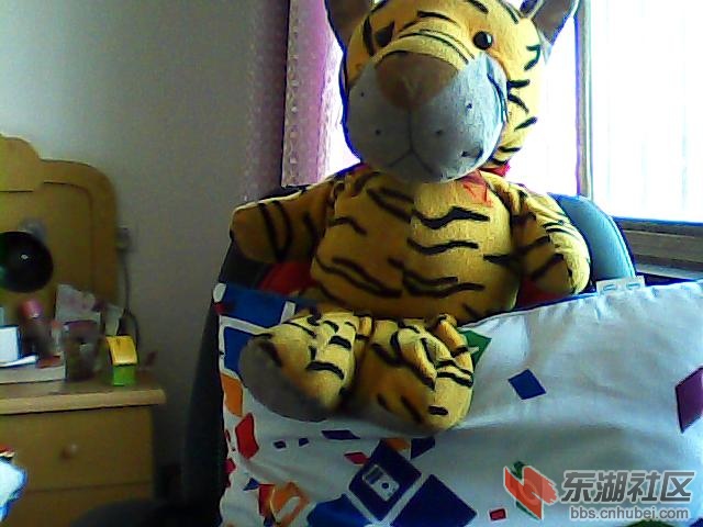 图片_0~1.JPG