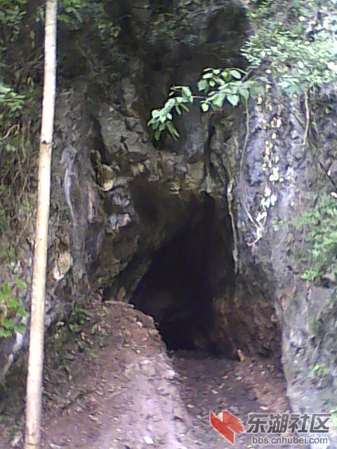 IMG0728102000.jpg