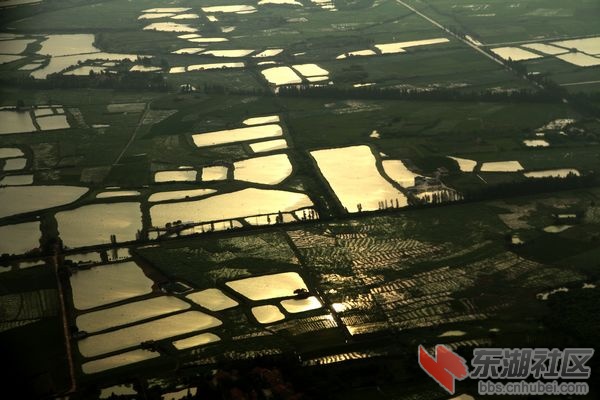 nEO_IMG_照片 1558.jpg
