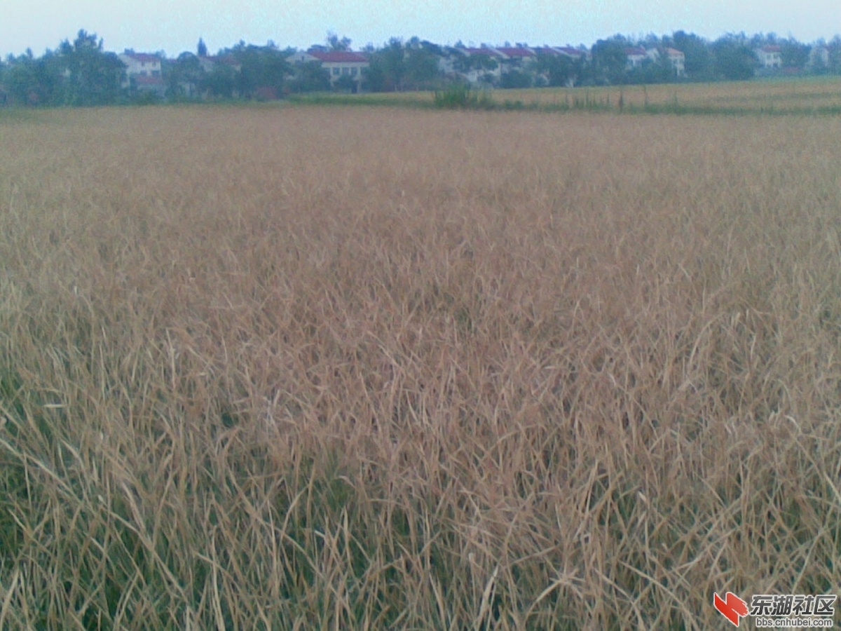 161954eevze2e3maqahdgh.jpg